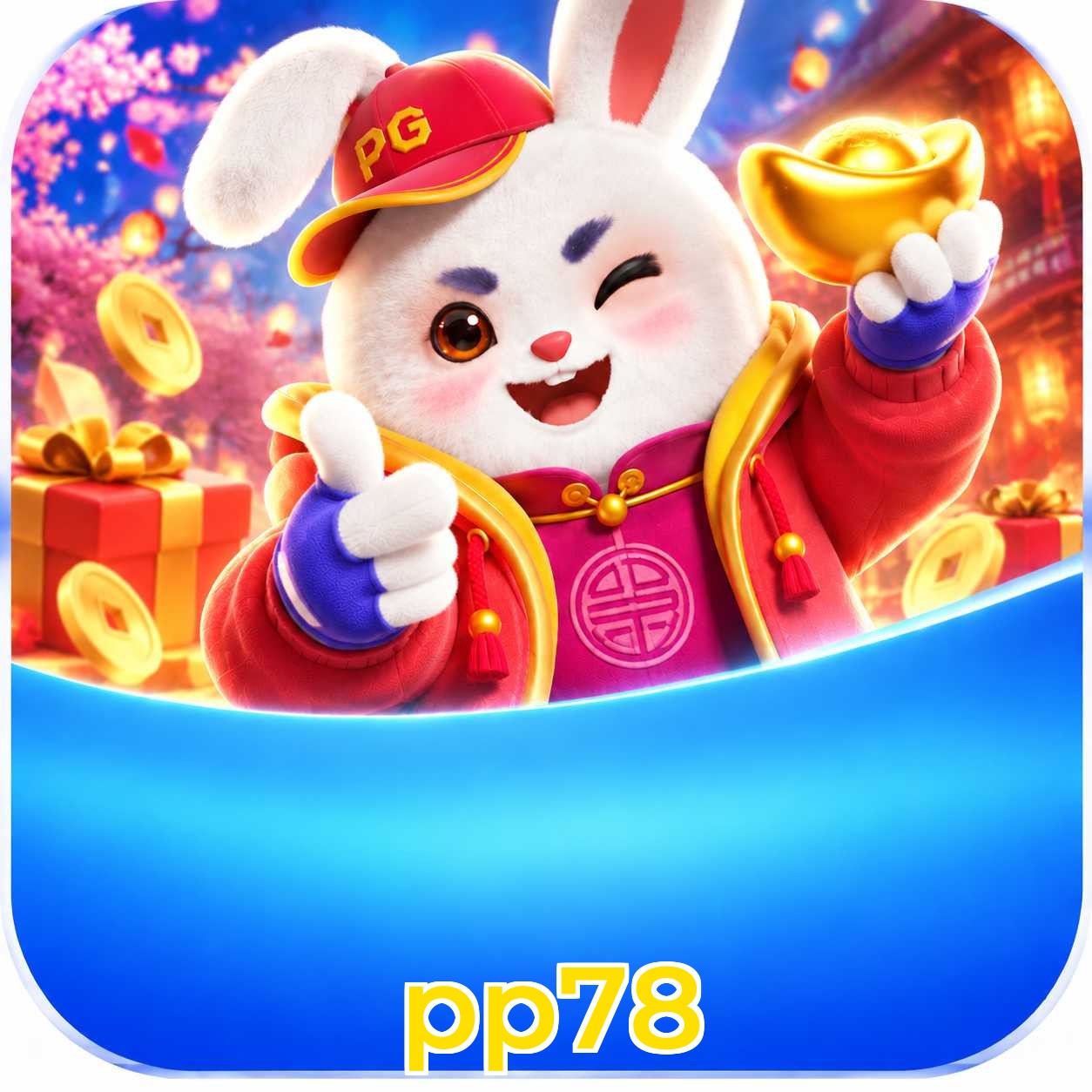 pp78 Login FAQ